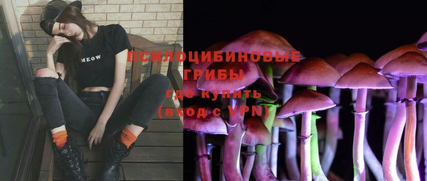 спайс Гусь-Хрустальный