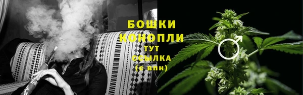 спайс Гусь-Хрустальный