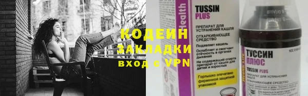 ешки Гусев
