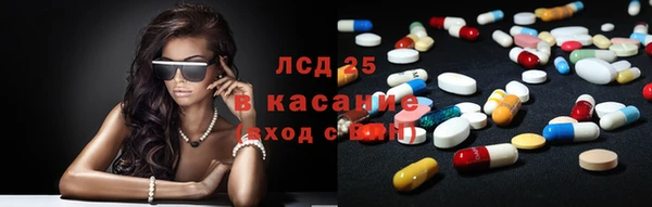 спайс Гусь-Хрустальный