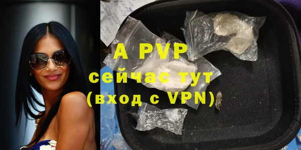 ешки Гусев